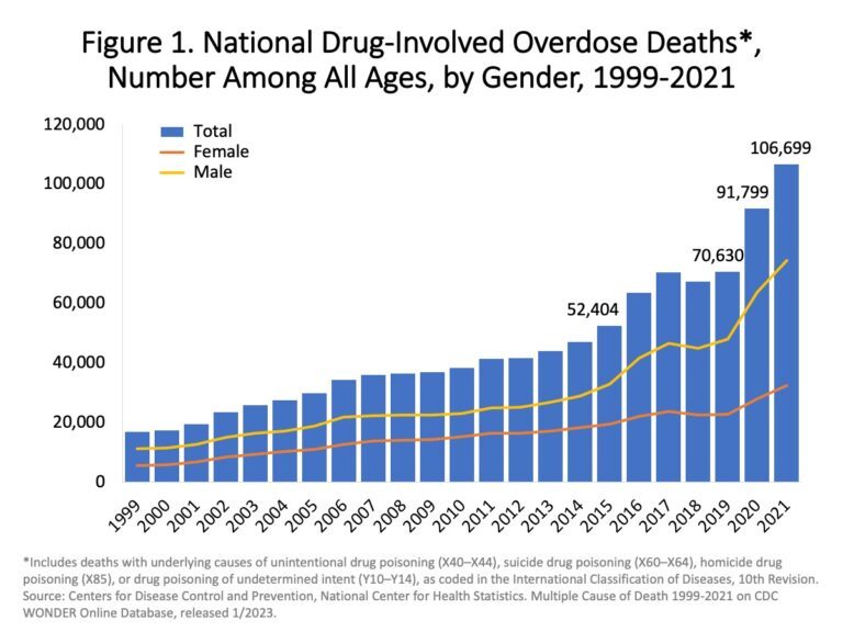 How Many People Die a Year From Drugs?