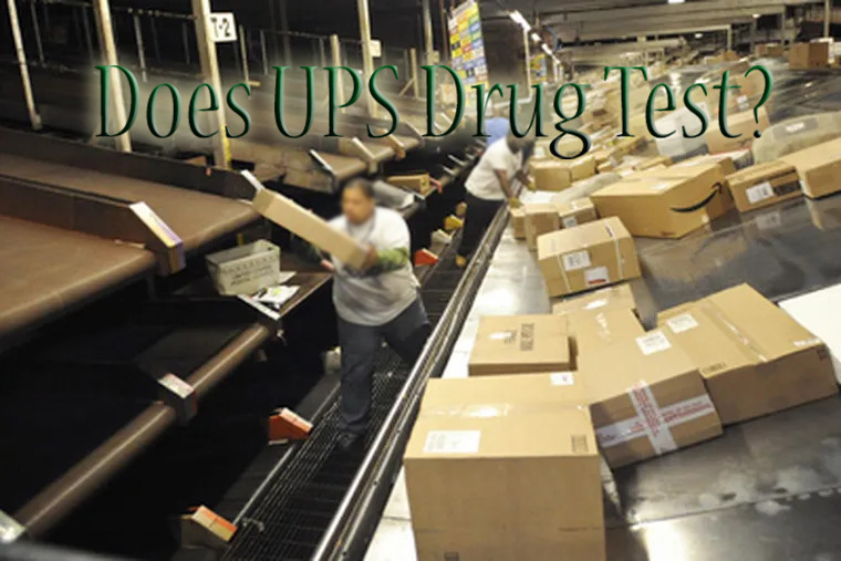 Does Ups Drug Test Package Handlers?