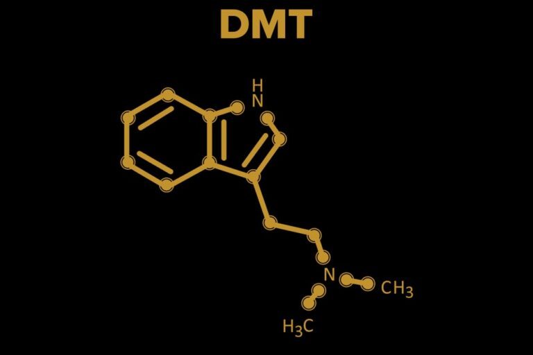 Does Dmt Show Up on a Drug Test?