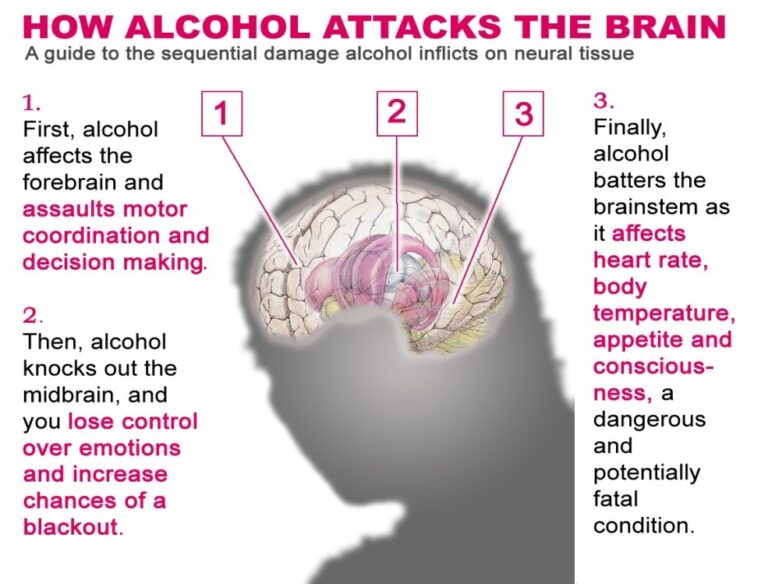 What is the First Function That Alcohol Impairs?