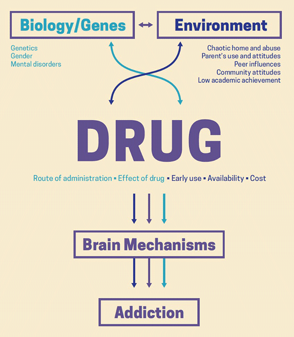 Why Do People Do Drugs?