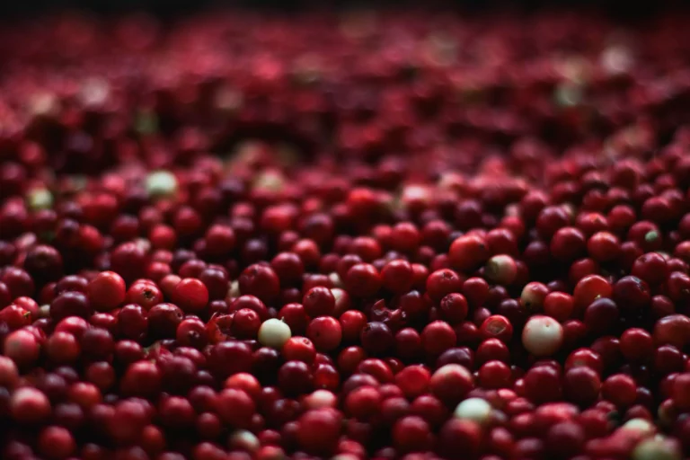 Does Cranberry Juice Help Pass a Drug Test?