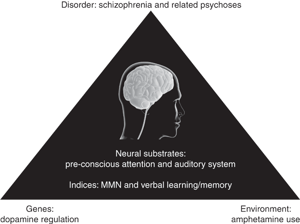 What is Stimulant Psychosis?