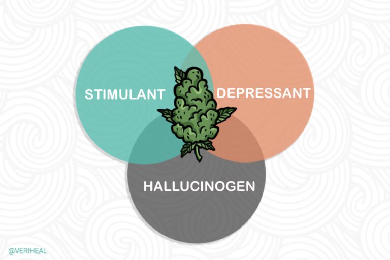 Is Cannabis a Stimulant Depressant or Hallucinogen?