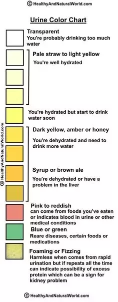 Why is Pee Clear When Drinking Alcohol?