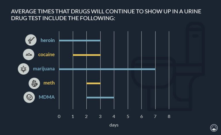 How Long Does Drug Test Take to Come Back?