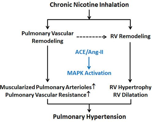 Does Nicotine Raise Blood Pressure