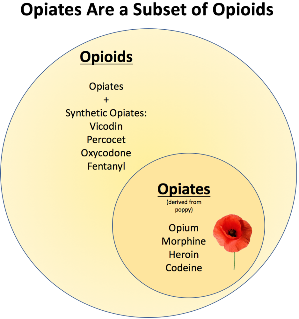 Is Opium an Opiate